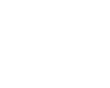 Taair Al Bariq Tourism L.L.C.